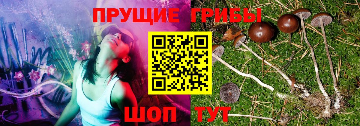 Галлюциногенные грибы мицелий Томск